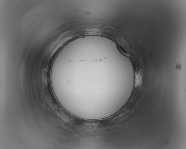 X0000115290291200911161640