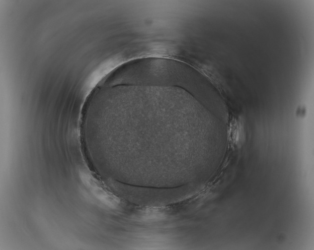 X0000115290292200911161640