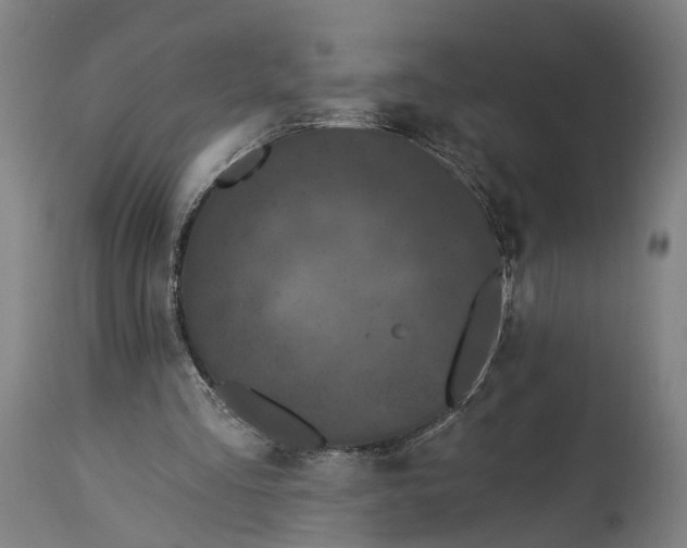 X0000115290293200911161640