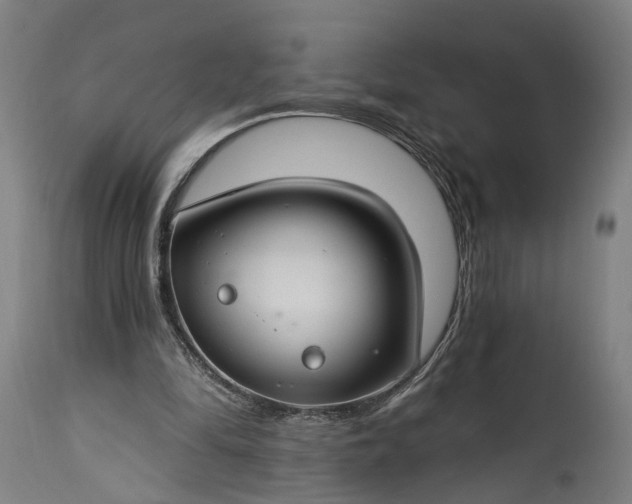 X0000115290294200911161640