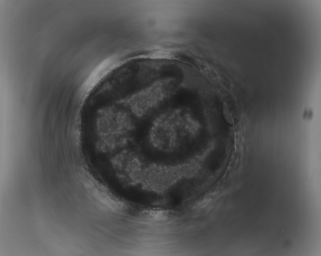 X0000115290295200911161640