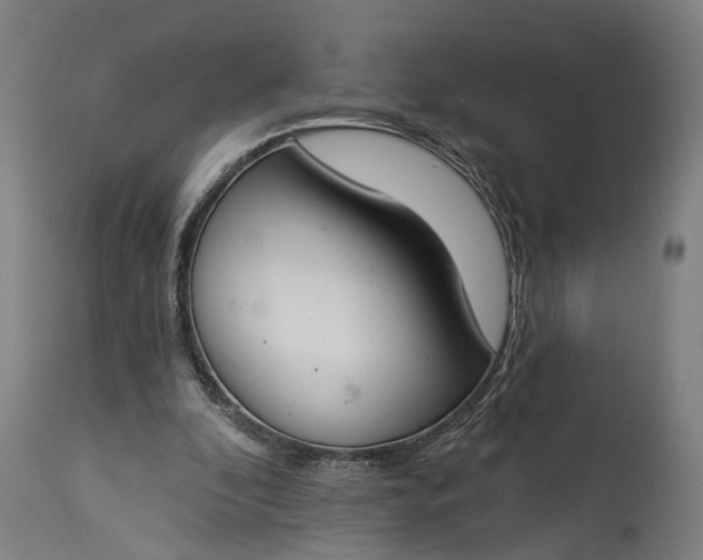 X0000115290296200911161640