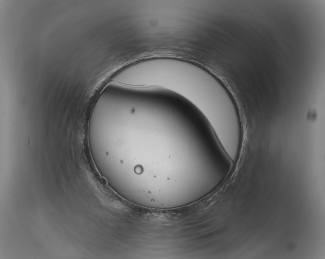 X0000115290297200911161640