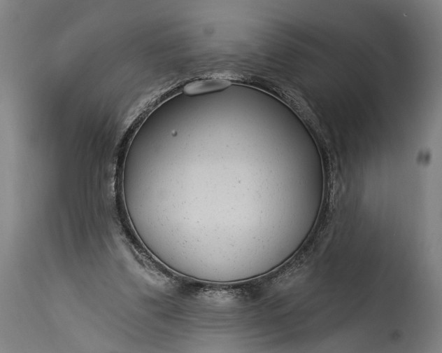 X0000115290299200911161640