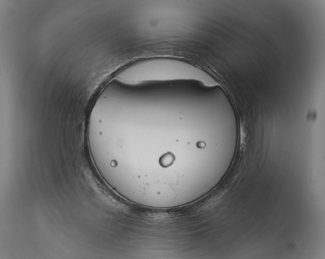 X0000115290301200911161640