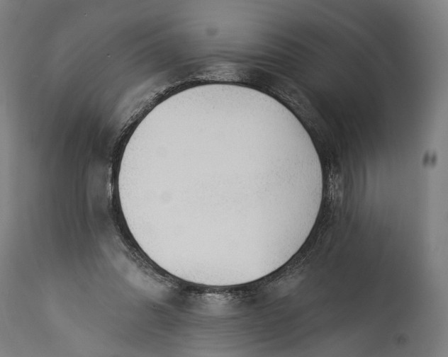 X0000115290302200911161640