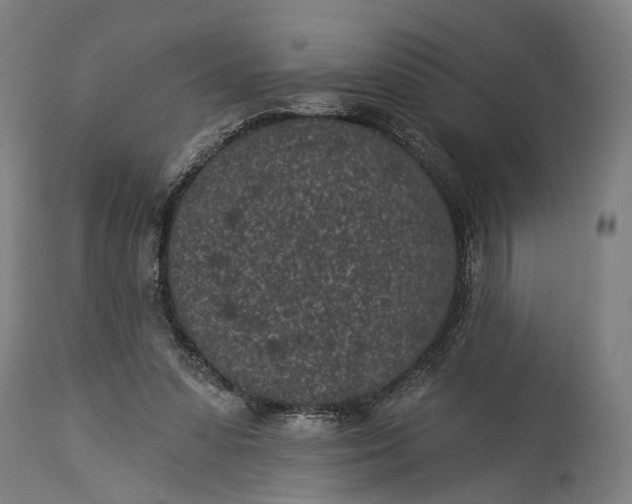X0000115290303200911161640