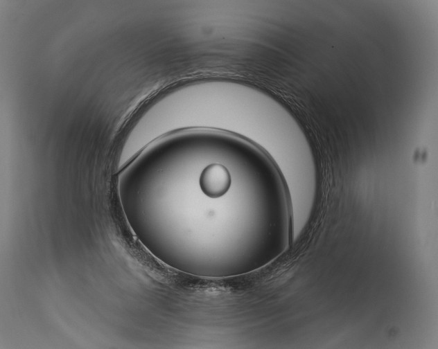 X0000115290304200911161640