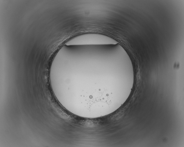 X0000115290305200911161640
