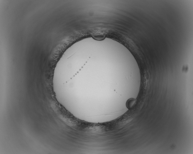 X0000115290307200911161640
