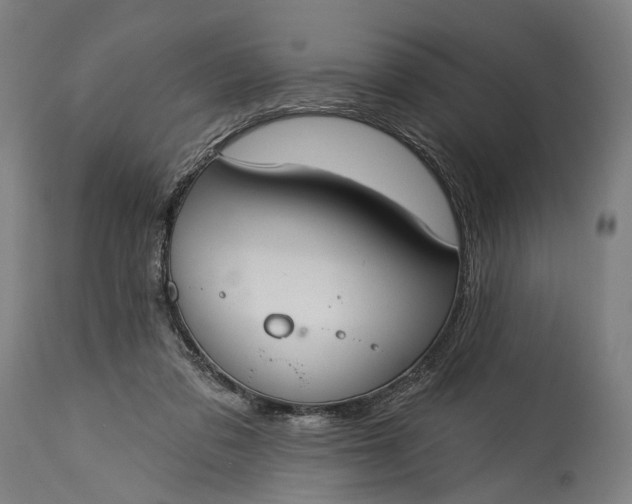X0000115290309200911161640