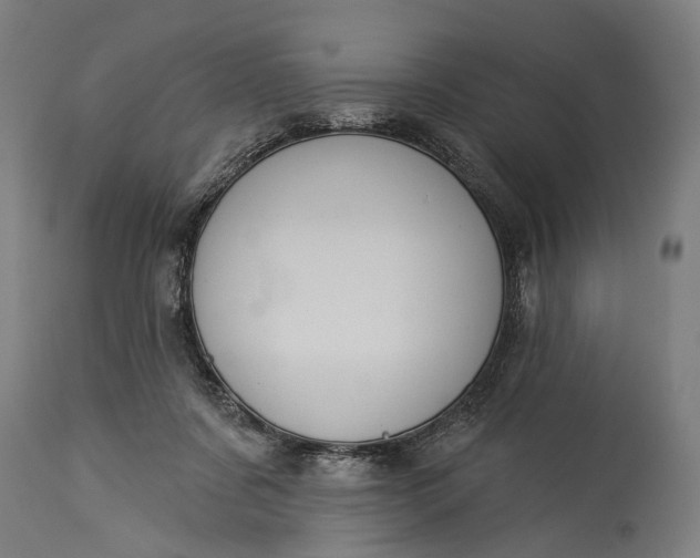 X0000115290311200911161640