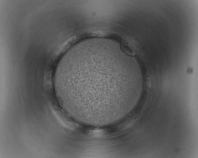 X0000115290312200911161640