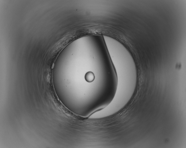 X0000115290313200911161640