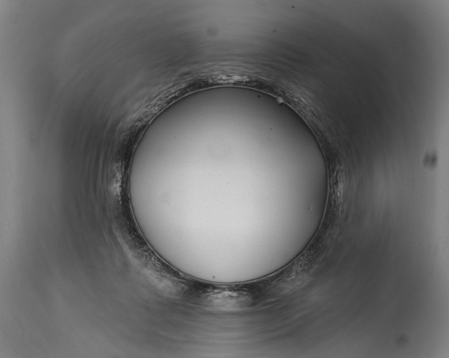 X0000115290315200911161640