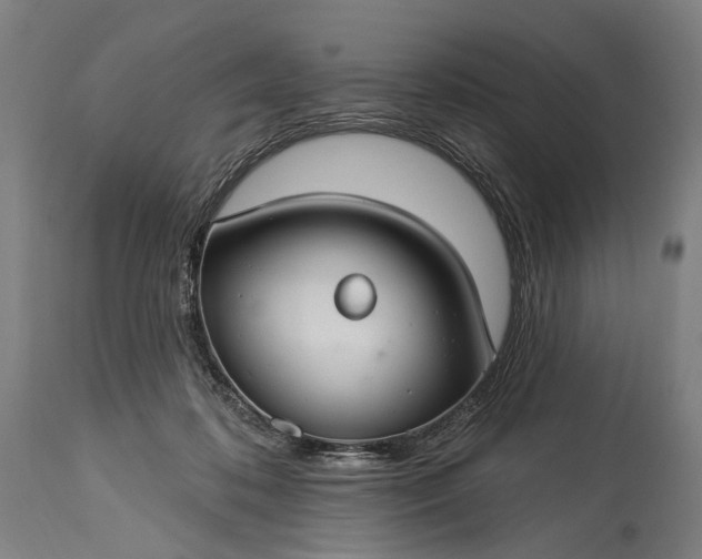 X0000115290316200911161640