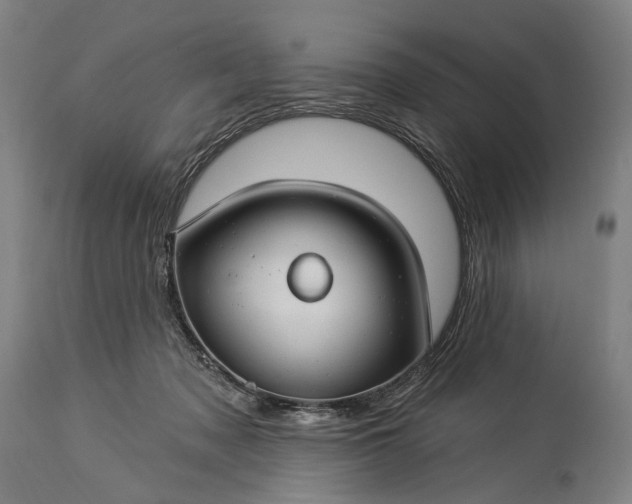 X0000115290317200911161640