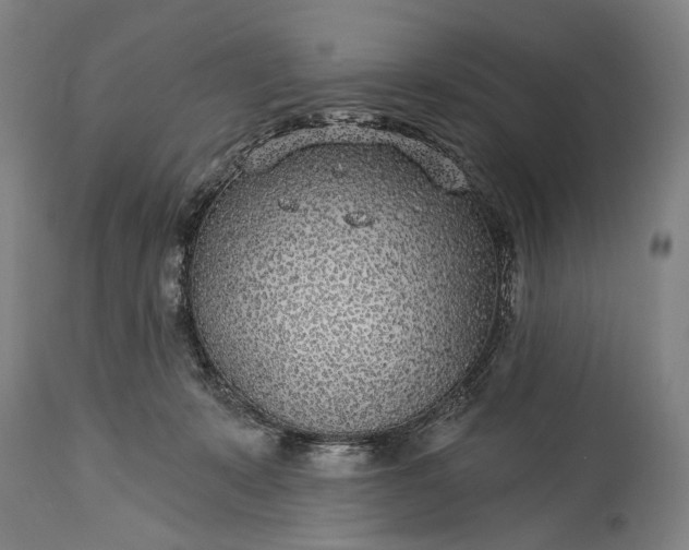 X0000115290319200911161640