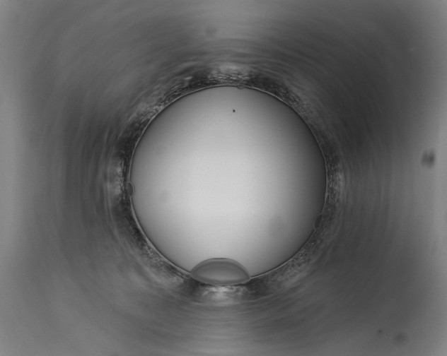 X0000115290323200911161640