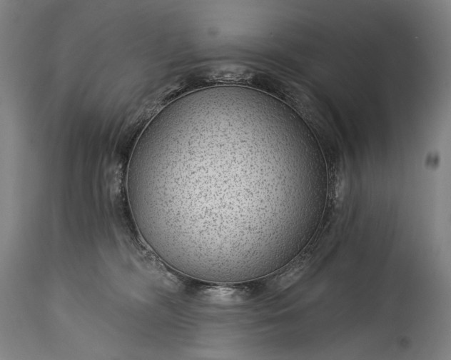 X0000115290326200911161640