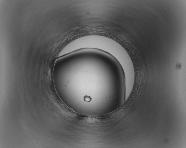 X0000115290327200911161640