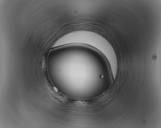 X0000115290328200911161640
