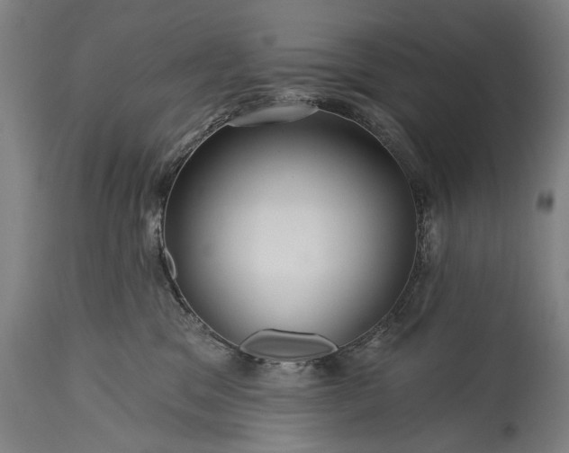 X0000115290329200911161640
