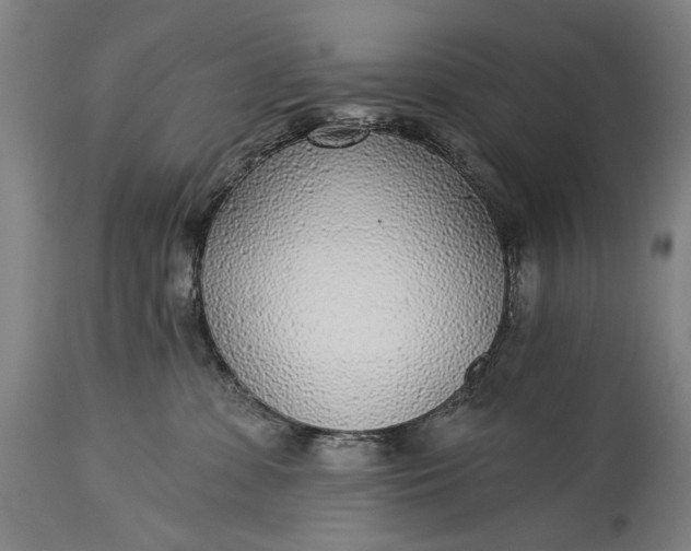 X0000115290331200911161640