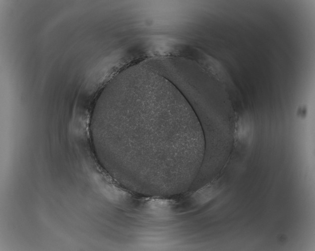 X0000115290332200911161640