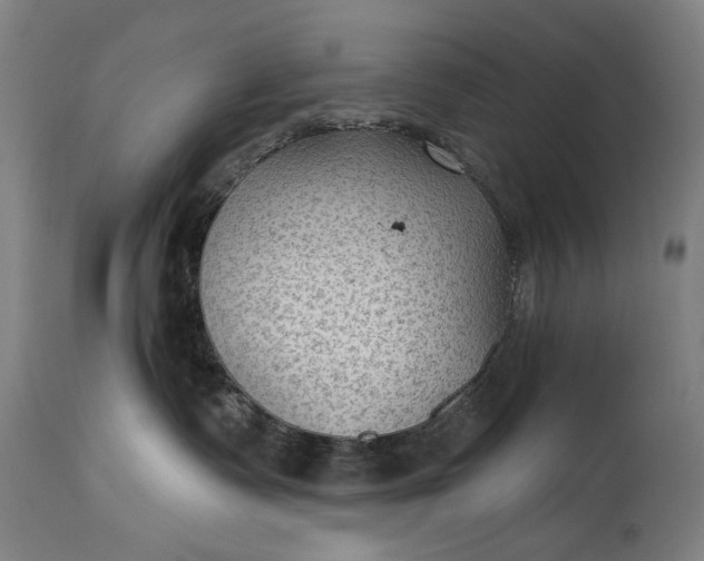 X0000115290335200911161640