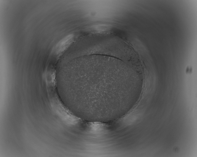X0000115290336200911161640