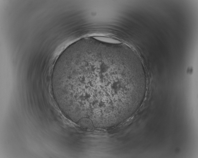 X0000115290337200911161639