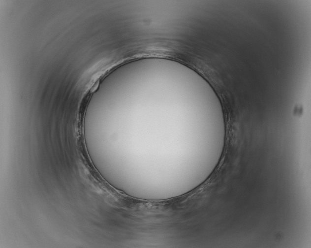 X0000115290338200911161639