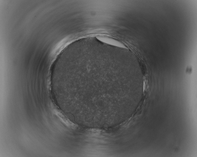 X0000115290339200911161639
