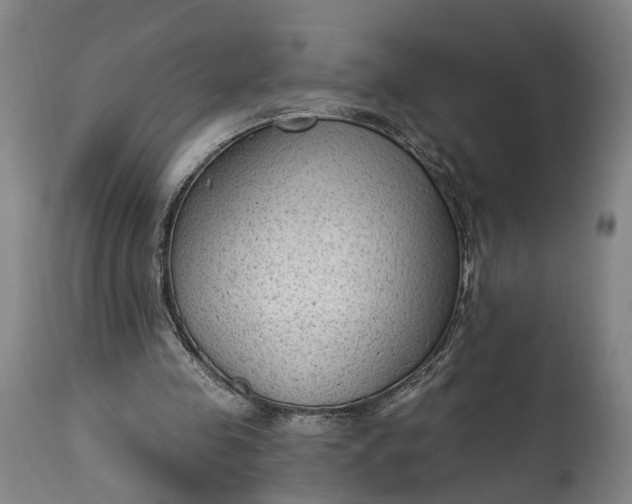 X0000115290341200911161639