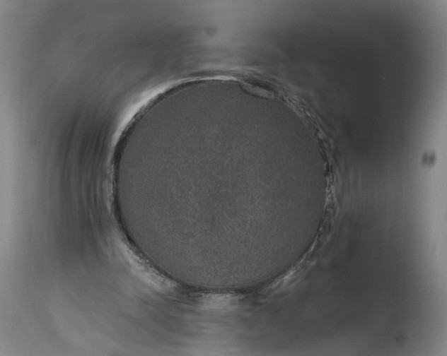 X0000115290342200911161639