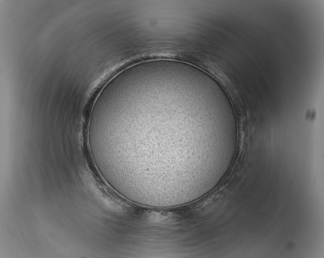 X0000115290346200911161639
