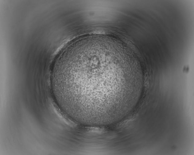 X0000115290347200911161639