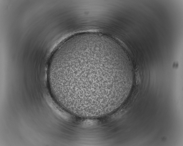 X0000115290350200911161639