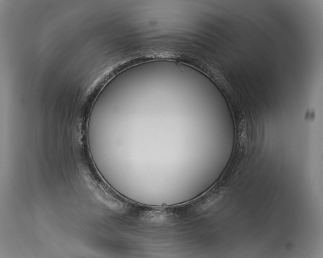 X0000115290351200911161639