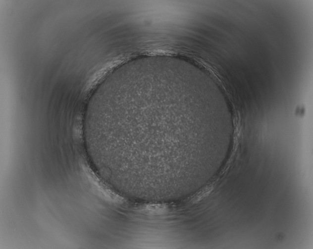 X0000115290353200911161639