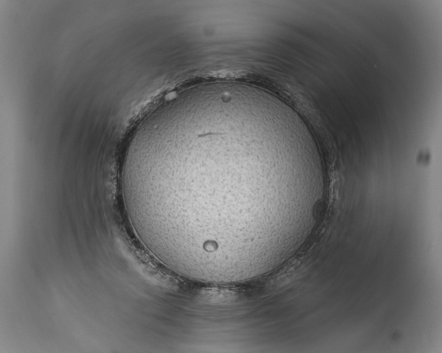 X0000115290354200911161639