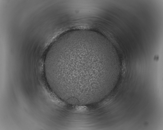 X0000115290355200911161639