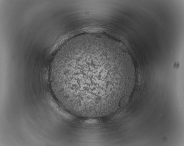 X0000115290357200911161639