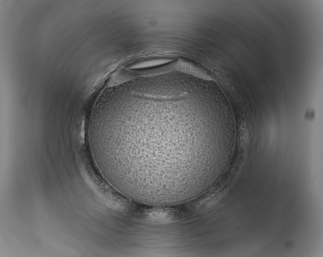 X0000115290358200911161639