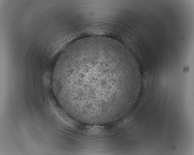 X0000115290359200911161639
