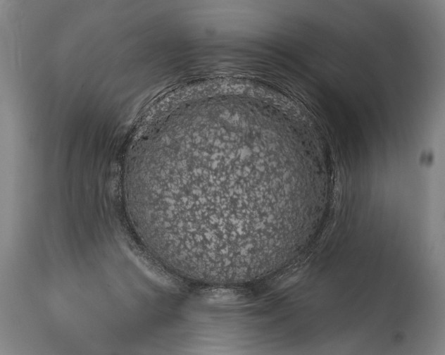 X0000115290361200911161639