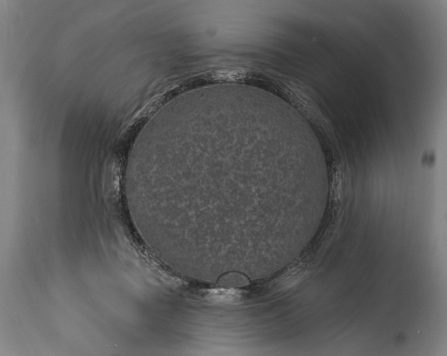 X0000115290363200911161639