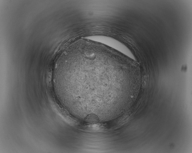 X0000115290365200911161639
