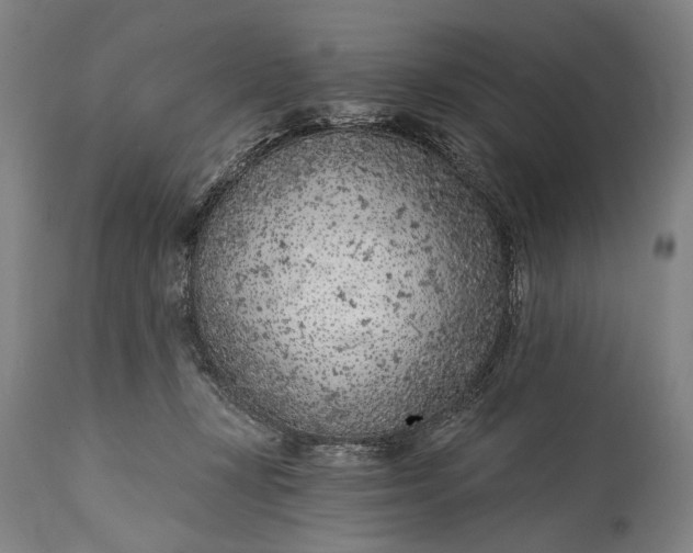 X0000115290367200911161639